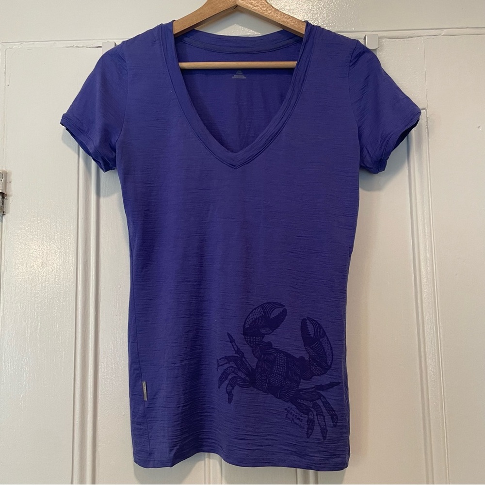 Icebreaker 100% merino wool tech-T V-neck 🦀
